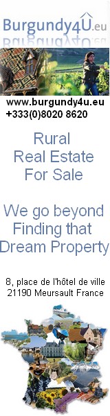 French Property for Sale Burgundy France - Burgundy4U